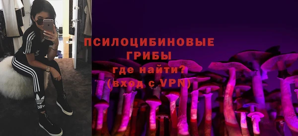 а пвп мука Абаза