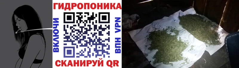 Канабис план  где продают   Боготол 